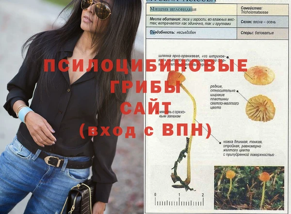 экстази Беломорск