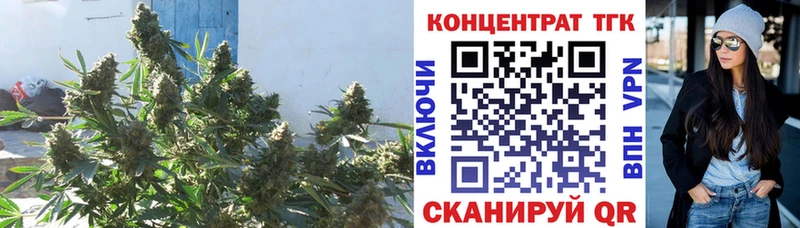 ТГК концентрат Купино