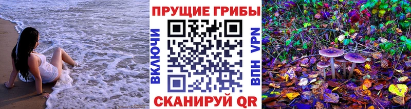 KRAKEN ссылка  Купино  Галлюциногенные грибы GOLDEN TEACHER  наркошоп 